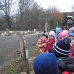 Výlet do ZOO 2016