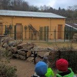 Výlet do ZOO 2016
