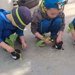 Malí zahradníci 2016