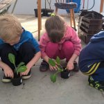 Malí zahradníci 2016