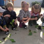 Malí zahradníci 2016