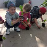 Malí zahradníci 2016