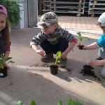 Malí zahradníci 2016