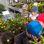 Malí zahradníci 2016