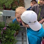 Malí zahradníci 2016