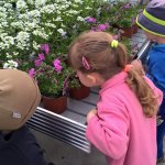 Malí zahradníci 2016