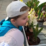 Malí zahradníci 2016