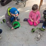 Malí zahradníci 2016