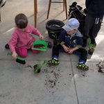 Malí zahradníci 2016