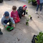 Malí zahradníci 2016