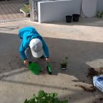 Malí zahradníci 2016