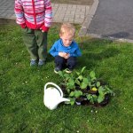 Malí zahradníci 2016